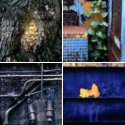 Member Album by keithwms
