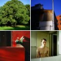 Member Album by mcfactor