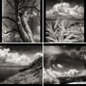 Member Album by Back2Basil