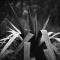 Member Album by fred