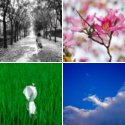 Member Album by glazing