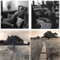 Member Album by Joerg Bergs