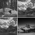Member Album by allsystemsfail