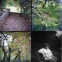 Member Album by goldenimage