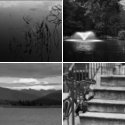 Member Album by ellisson
