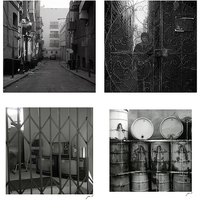 Member Album by jasonjoo