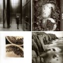 Member Album by bill spears