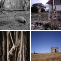Member Album by seaninsurrey