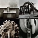 Member Album by martyryan