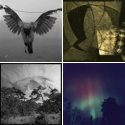 Member Album by Bertil