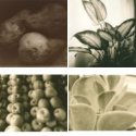 Member Album by DarkroomDan