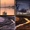 Member Album by teasel321