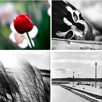 Member Album by Rob Ruttan