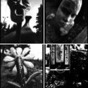 Member Album by PhilipRingler