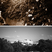 Member Album by flippyot