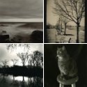 Member Album by ishutteratthethought