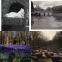 Member Album by Graham.b