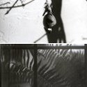 Member Album by ntenny