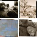 Member Album by R Shaffer