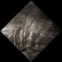 Member Album by dasBlute