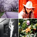 Member Album by Shelley-Ann