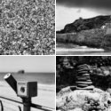 Member Album by Chris Livsey