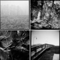 Member Album by Marek Warunkiewicz