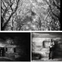 Member Album by danster