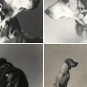 Member Album by CHiEN CHiEN