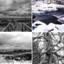 Member Album by Stephen Prunier