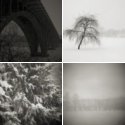 Member Album by adamc