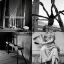 Member Album by Paul Jenkin