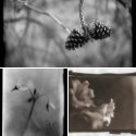 Member Album by Kami-the-Trout