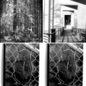 Member Album by ronlamarsh