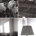 Member Album by mike c