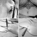 Member Album by stradibarrius