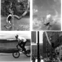 Member Album by andres