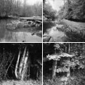 Member Album by Holden