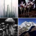 Member Album by dmschnute