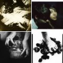 Member Album by fiducio