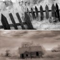 Member Album by Andrew O'Neill
