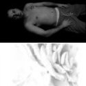 Member Album by vanderwaterk