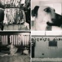 Member Album by Fireguy2002