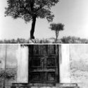 Member Album by tasos kousos