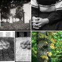 Member Album by cdowell