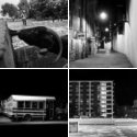 Member Album by njkphoto