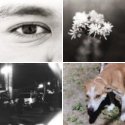 Member Album by ColdEye