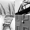 Member Album by Too old to care