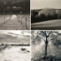 Member Album by nipia