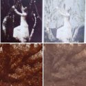 Experimental Silver Gelatine Toning